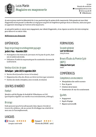 Muster für einen nüchternen und professionellen Lebenslauf